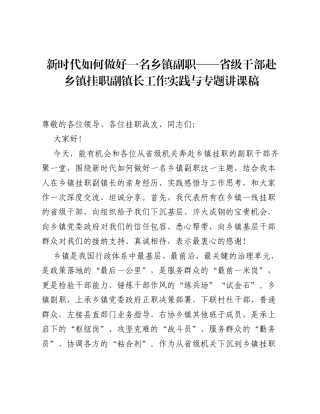 新时代如何做好一名乡镇副职——省级干部赴乡镇挂职副镇长工作实践与专题讲课稿.docx