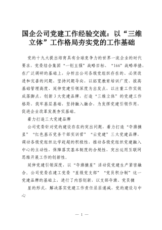 国企公司党建工作经验交流：以“三维立体”工作格局夯实党的工作基础.docx