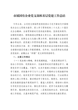 市属国有企业党支部抓基层党建工作总结.docx