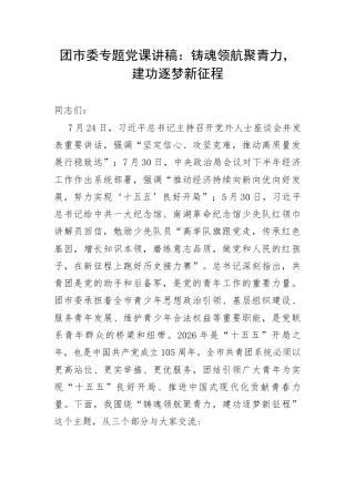 团市委专题党课讲稿：铸魂领航聚青力，建功逐梦新征程.docx