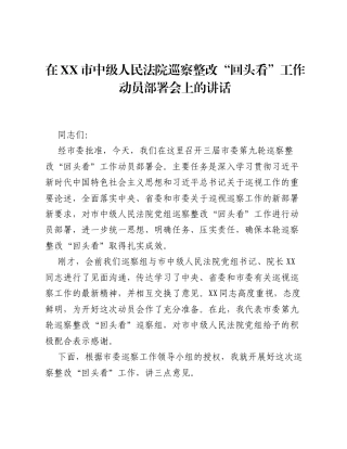 在XX市中级人民法院巡察整改 回头看 工作动员部署会上的讲话.docx