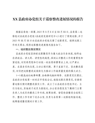 XX县政府办党组关于巡察整改进展情况的报告.docx