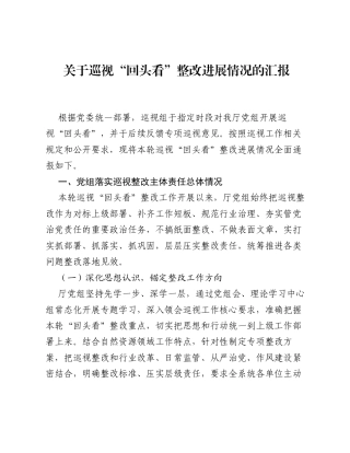 关于巡视回头看整改进展情况的汇报.docx