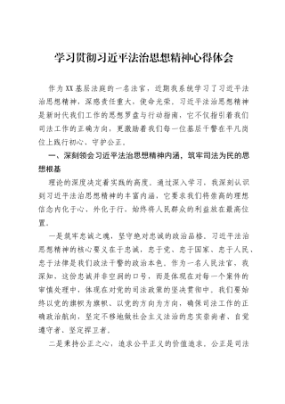 学习贯彻习近平法治思想精神心得体会.docx
