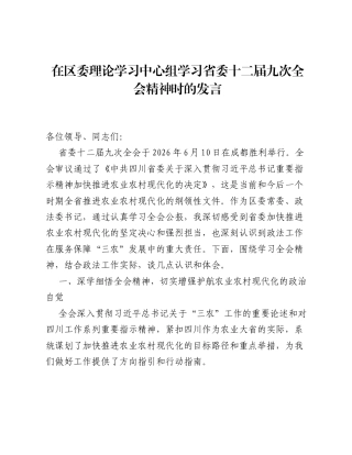 某政法委书记在区委理论学习中心组上的的发言（6303字）.docx
