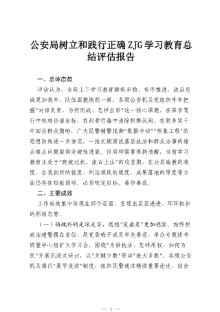 公安局树立和践行正确ZJG学习教育总结评估报告.docx