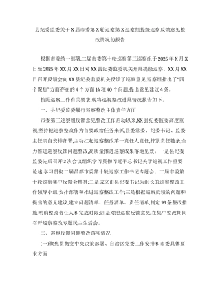 县纪委监委关于X届市委第X轮巡察第X巡察组提级巡察反馈意见整改情况的报告.docx